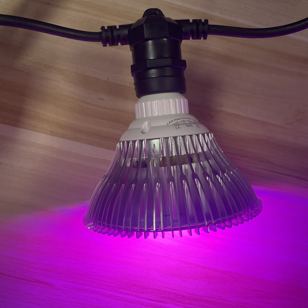 สายไฟ LED ยาว 10 เมตร เกรดเชิง - Outdoor Power Socket บทวิจารณ์และราคา